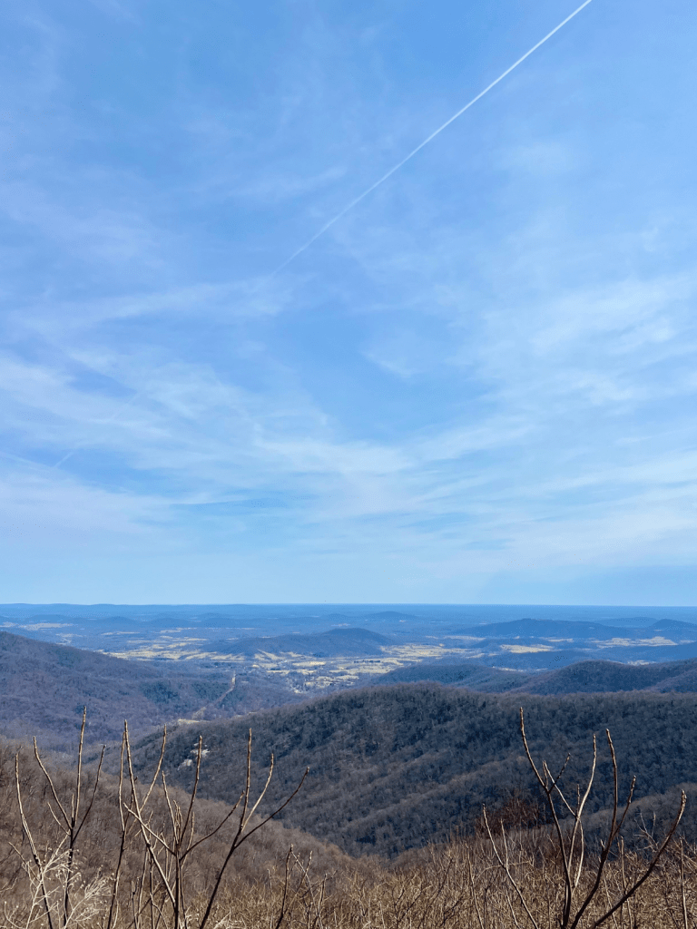 A picture I took on a hike in the Shenandoah National Park. 